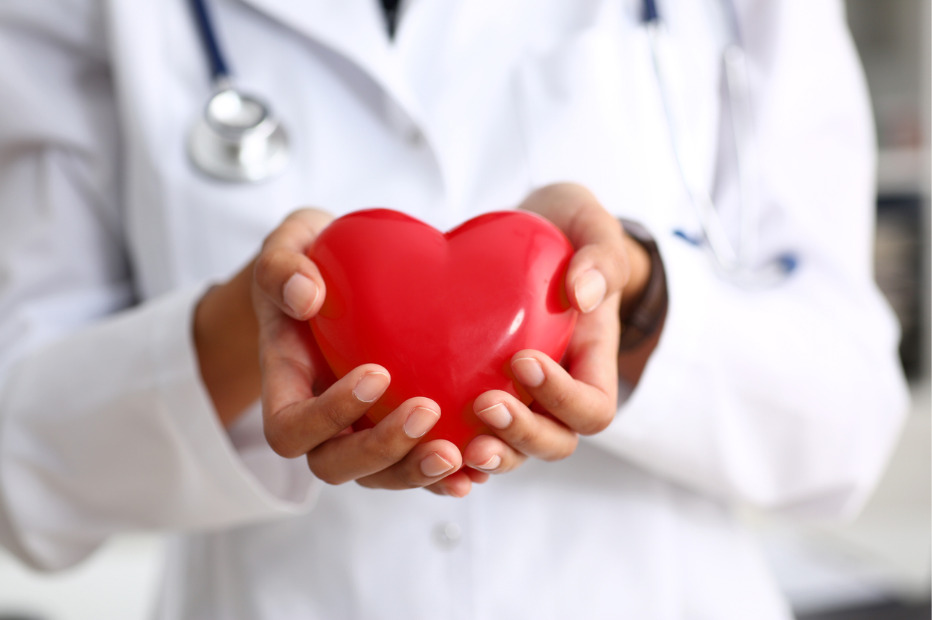doctor holding a red heart